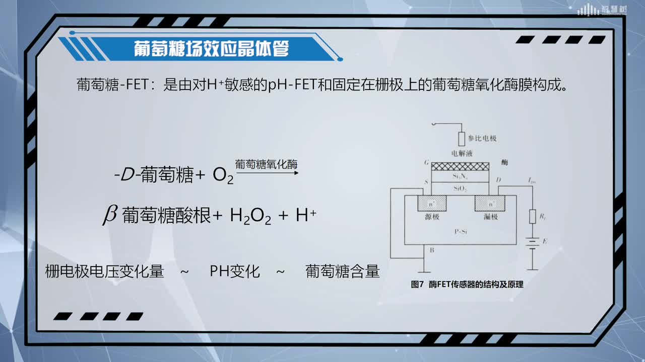 [12.2]--酶生物传感器(3)#传感器技术 