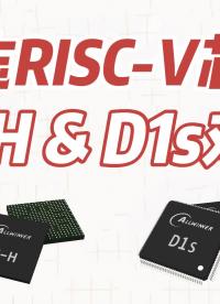 全志RISC-V芯片 D1H & D1s 參數橫向對比 #產品方案 #嵌入式開發 