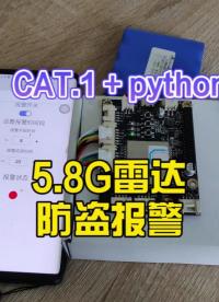 用python寫的防盜報警器，附教程源碼#python開發板 #物聯網開發 