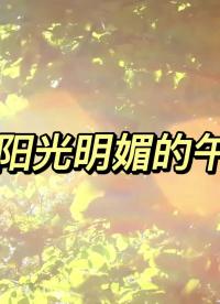 【我們和客戶的故事】服務在線，讓您用芯更省心——拓爾微