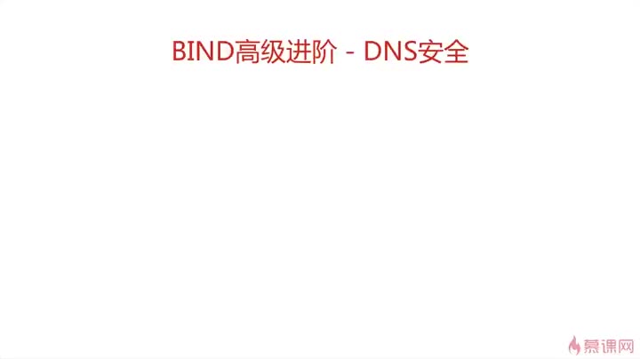 [4.1]--DNS污染