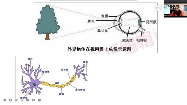 [1.5.1]--视觉数据获取与处理-图像基础