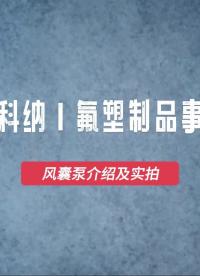 有關風囊泵的一些信息# 風囊泵# 半導體