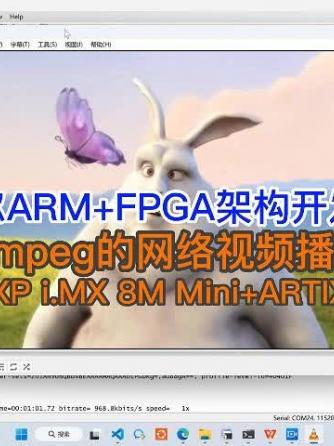 ARM,FPGA,开发板