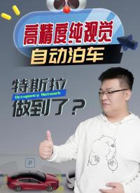 高精度纯视觉自动泊车 特斯拉做到了？#特斯拉  #自动泊车 