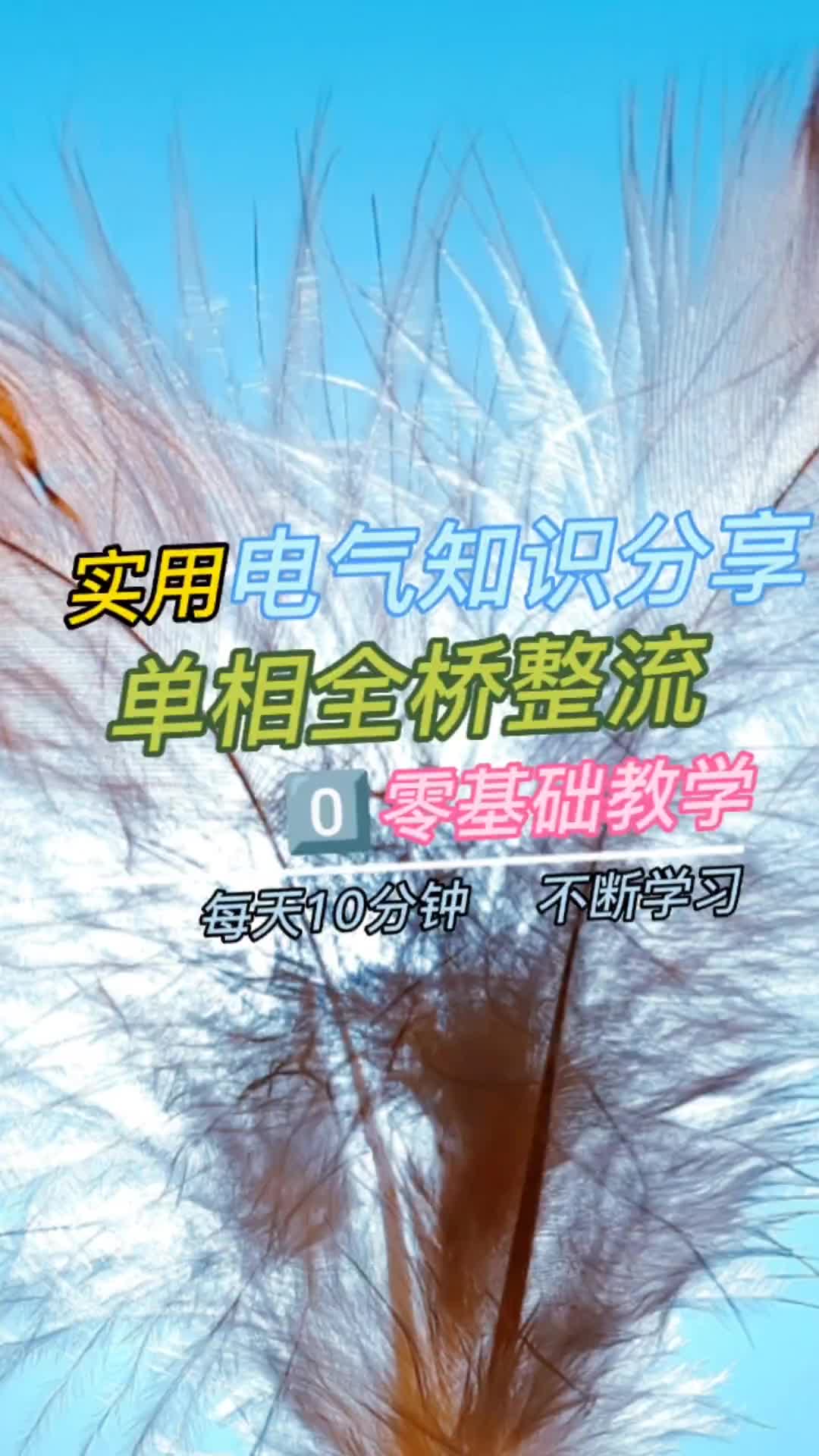 00004 單相全橋整流#電工知識分享 #硬聲創作季 