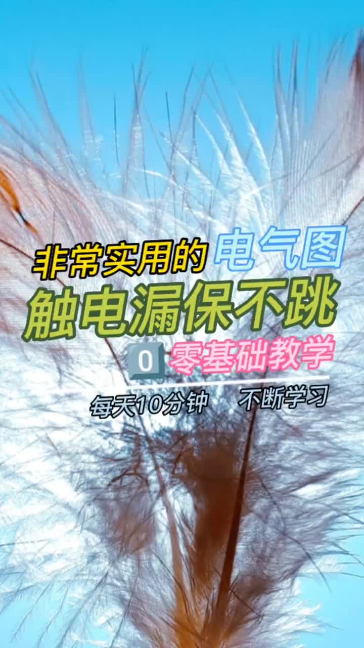 00019 觸電為什么不跳閘#零基礎學電工 #觸電 #安全用電 