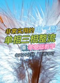 00020 二极管整流电路，电气工程及其自动化等专业必须掌握的内容。#整流 #电力电子 #电气工程 