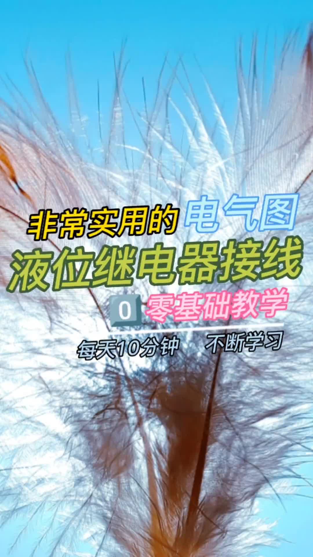 00016 液位繼電器控制水位高低#零基礎學電工 #電氣控制 #電工知識 #電工 
