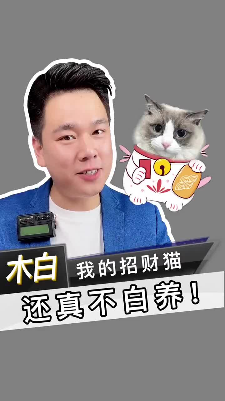 我的招財貓，還真不白養！說招財馬上就招來了！#北京手機維修 #小天才學習機 #數碼新品種草官#硬聲創作季 