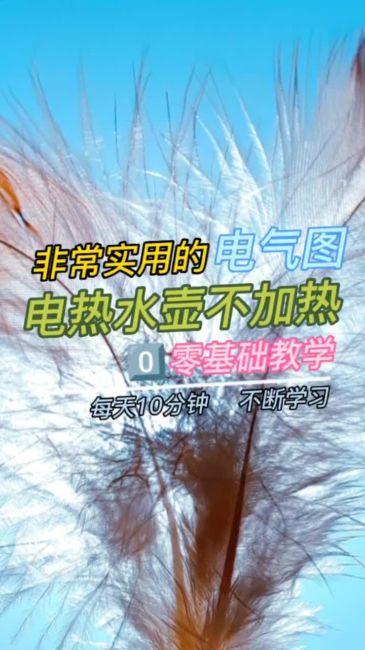 00024 电热水壶不加热怎样维修？#电工知识分享 #电气控制 #电气工程 #维修电工 #知识分享 