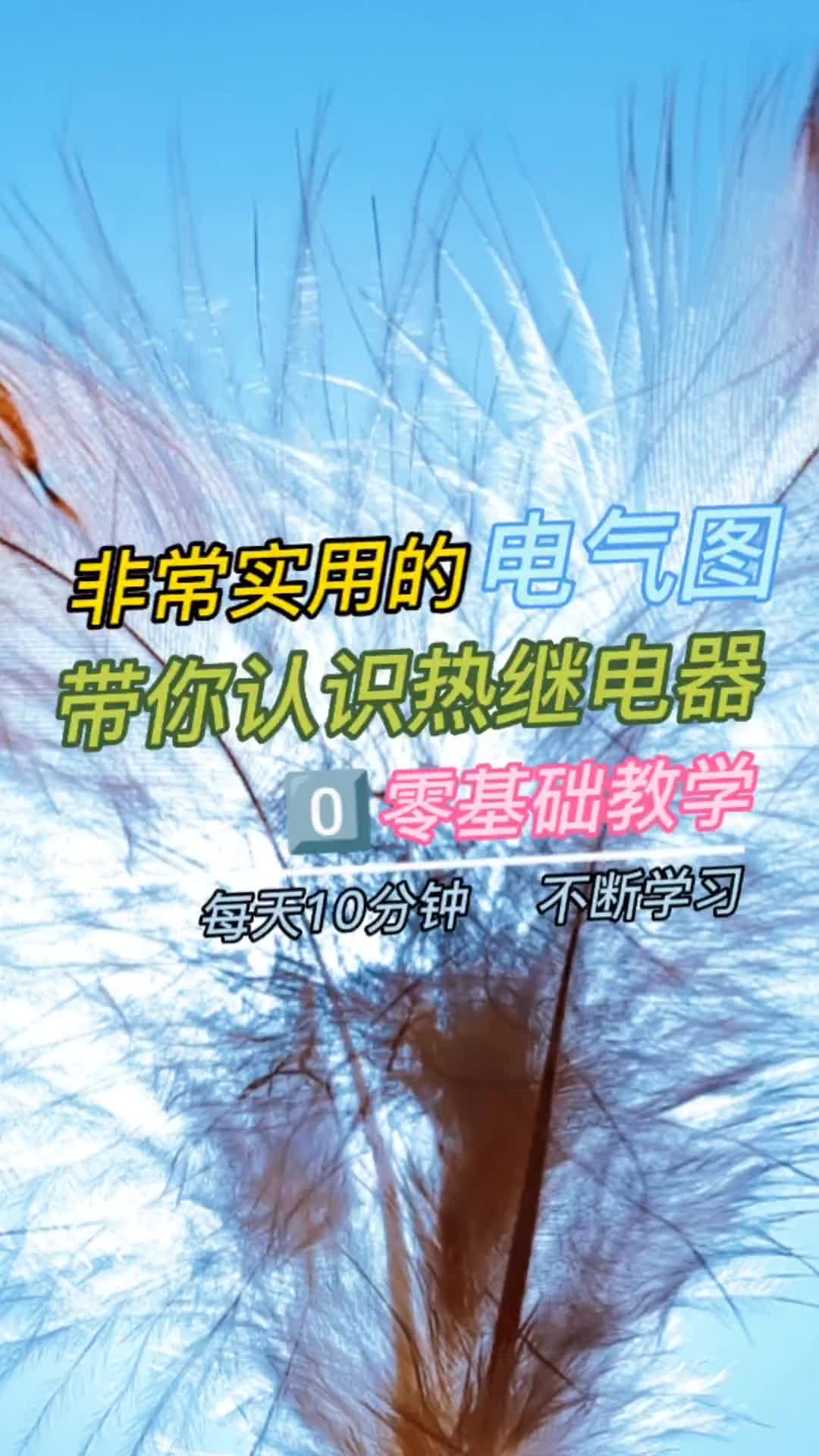 00025 熱繼電器#電工知識(shí) #零基礎(chǔ)學(xué)電工 