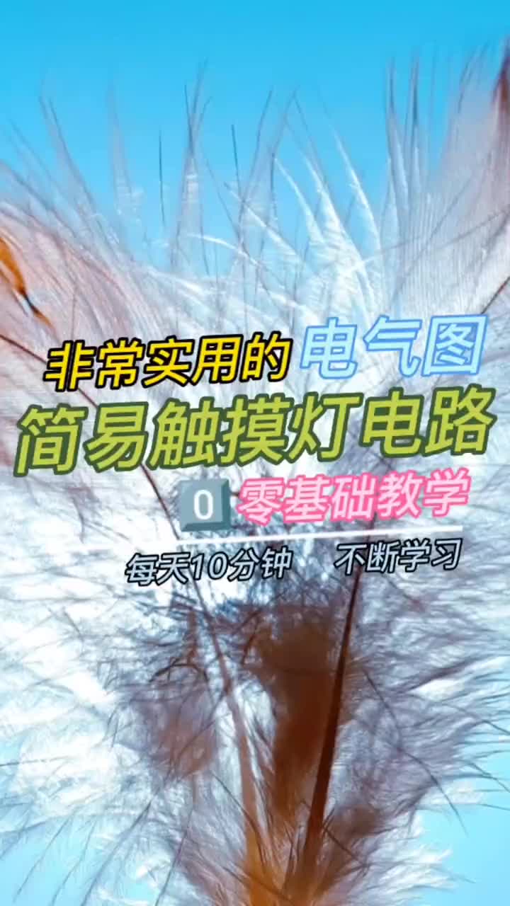 00015 觸摸燈電路#零基礎學電工 #電工知識 #電工 #電工接線 #硬聲創作季 