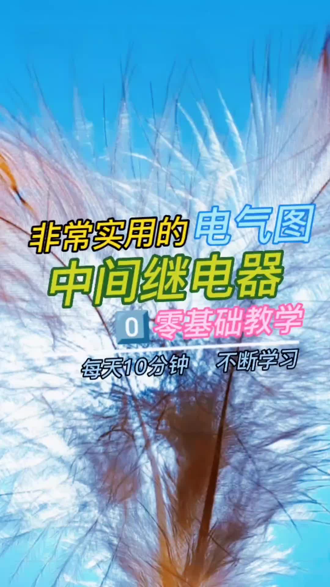 00035 中間繼電器#電工知識 #硬聲創作季 