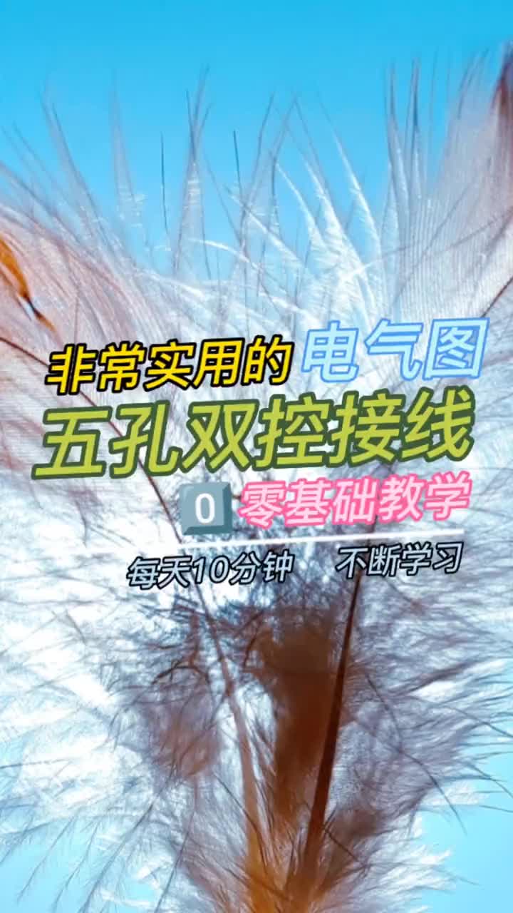 00031 床頭五孔雙控開關接線#零基礎學電工 #電工 #電工接線 