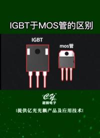 00034 IGBT與MOS管有什么區別 強茂品牌#mos管 #電子元器件 #IGBT 