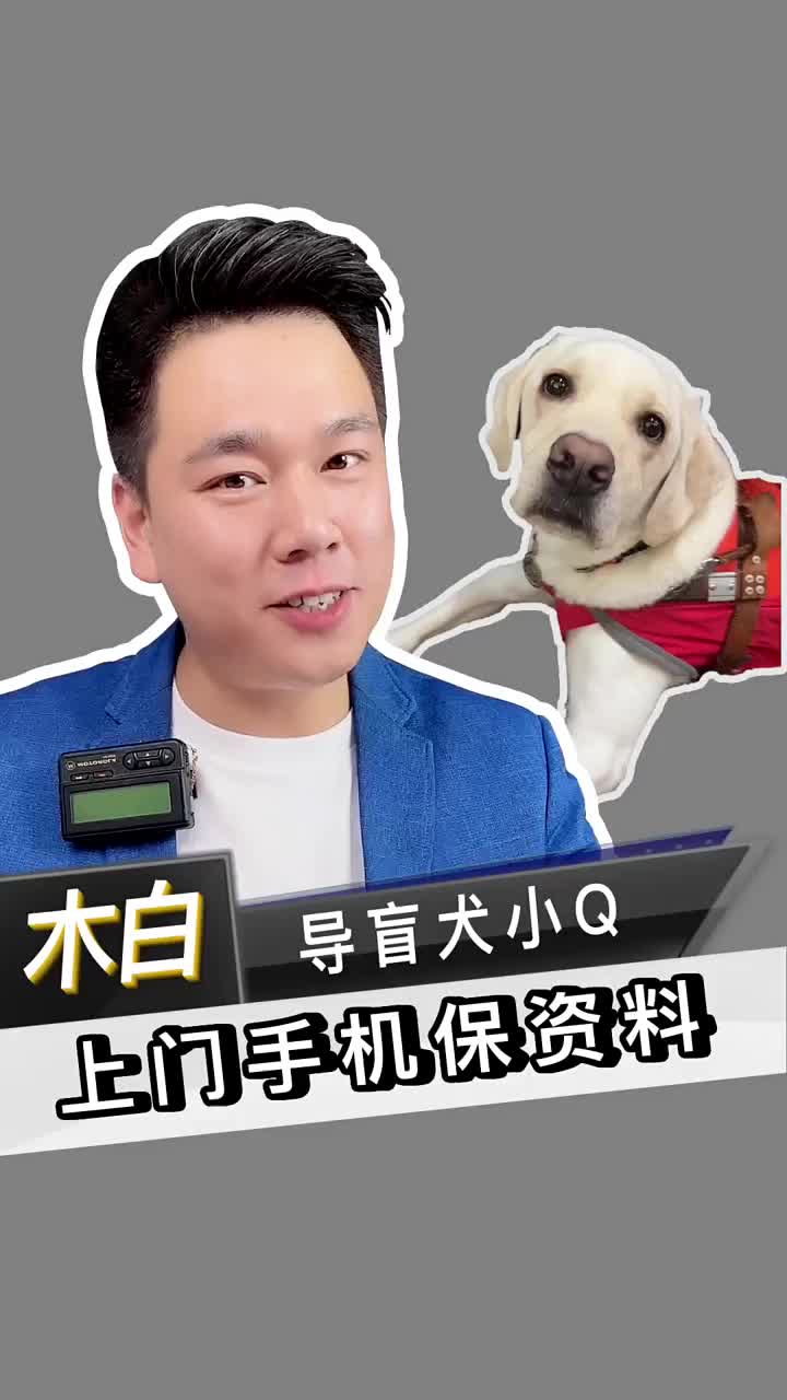 导盲犬小Q，阿姨上门手机保资料。 #北京手机维修 #数码新品种草官 #导盲犬小Q#硬声创作季 