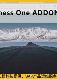 SAP系統操作教程（第1期）:SAP Business One（SAP B1）Addon部署配置#硬聲創作季 