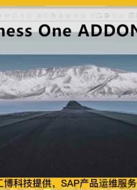 SAP系统操作教程（第1期）:SAP Business One（SAP B1）Addon部署配置#硬声创作季 