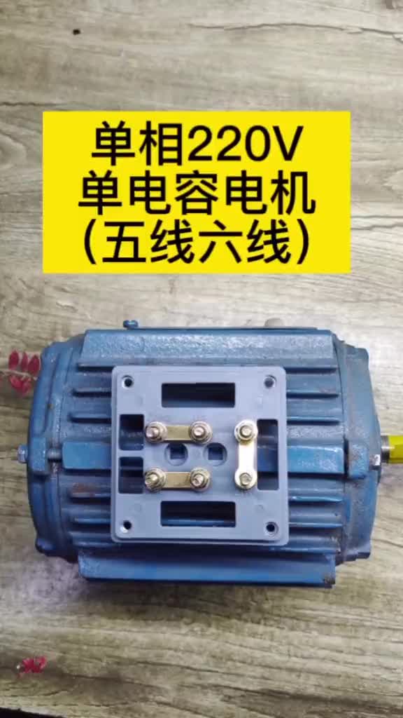 220伏單相單電容電機，電容運轉異步電動機正反轉接線原理#電工#零基礎學電工 #硬聲創作季 