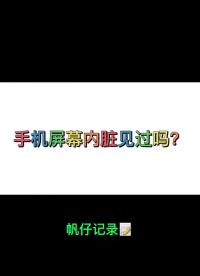 手机屏幕内脏见过吗？你的手机内脏长啥样知道吗？ #iPhone #手机 #手机维修#硬声创作季 