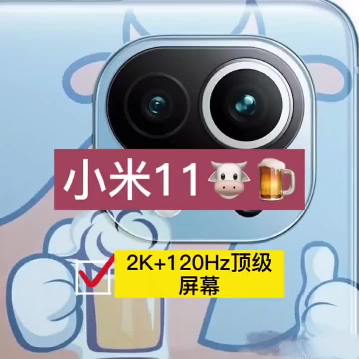 小米11????！2020年尾的驚喜，花最少的??就可以體驗到5-6k級別的屏幕水準，恐怕也只#硬聲創作季 