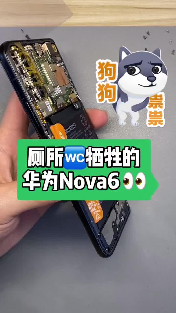 廁所 蹲坑摔壞的華為NOVA6 可謂是摔出了手機(jī)的新高度！話(huà)說(shuō)你的手機(jī)在廁所摔壞過(guò)嗎？ #華為#硬聲創(chuàng)作季 