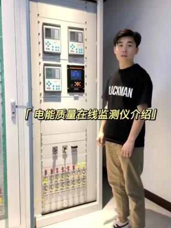 在线监测