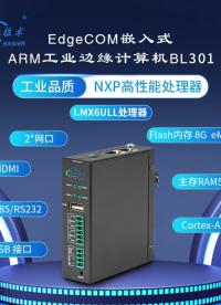 支持實時監控和遠程控制方便管理和維護BL302