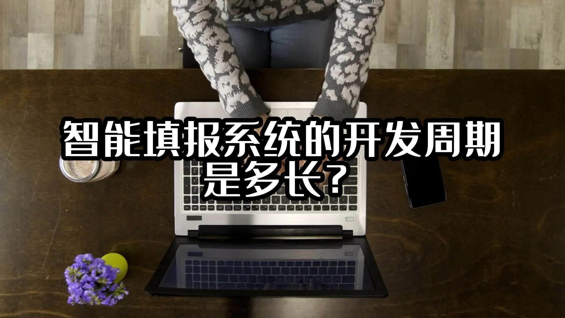 智能填报系统的开发周期是多长？#智能填报系统 #光点科技 