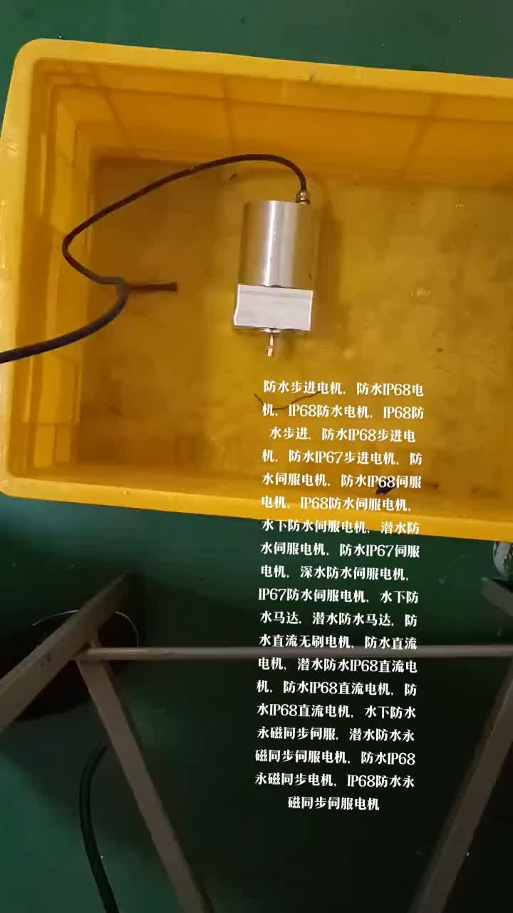 防水IP68电机