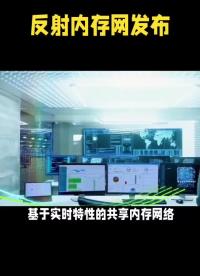 pcie5565反射內(nèi)存 1553B仿真測試板卡ACC-5595反射內(nèi)存交換機129模塊VMIPCI5565