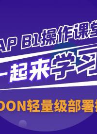 SAP系統操作教程（第4期）:Addon“輕量級”部署操作步驟講解#sap 