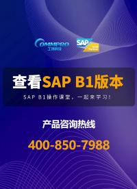 SAP系统操作教程（第5期）:SAP B1版本号查看攻略#sap 