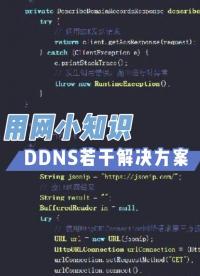 萬物互聯的基礎不是某某大廠的生態，而是ipv6#ddns #域名解析 #私有云 