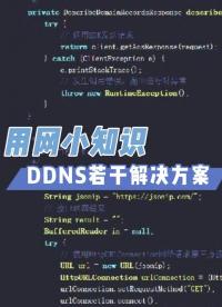 萬物互聯(lián)的基礎不是某某大廠的生態(tài)，而是ipv6#ddns #域名解析 #私有云 