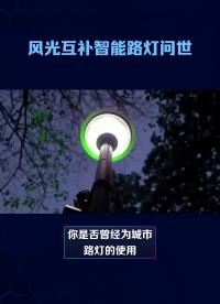 什么是風(fēng)光互補(bǔ)智能路燈？#叁仟智慧路燈  #風(fēng)光互補(bǔ)路燈 #風(fēng)光互補(bǔ)太陽(yáng)路燈 #svip-3015  