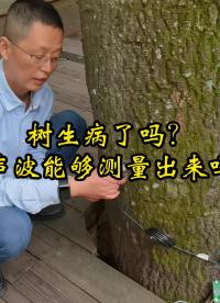 樹生病了嗎？超聲波傳感器能夠測量出來嗎？#探頭#超聲波傳感器 