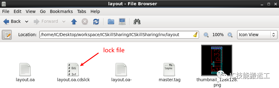写一个删除lock文件的skill脚本
