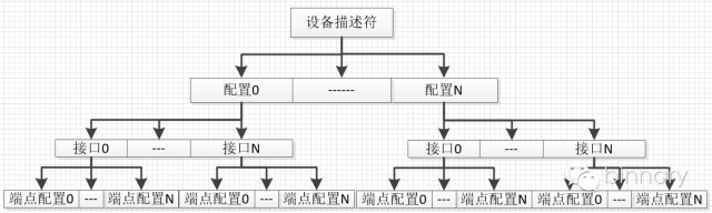 USB的枚举过程