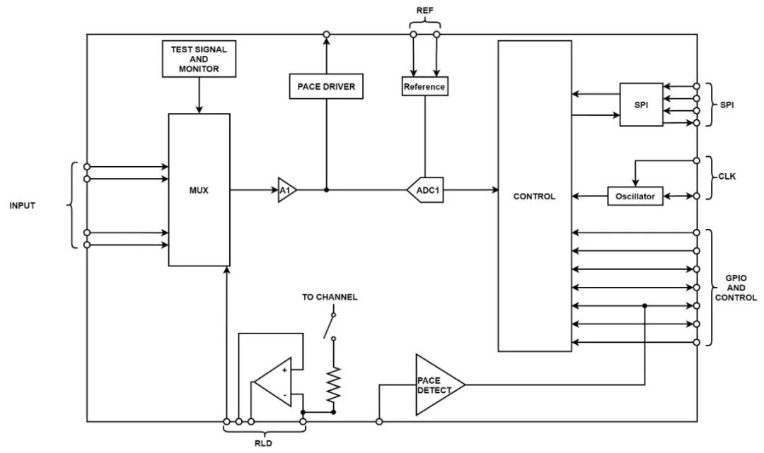 ECG