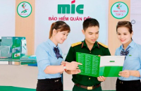 越南MIC<b class='flag-5'>发布</b>发证<b class='flag-5'>新要求</b>：制造商没有分公司不再签发型式认可证书