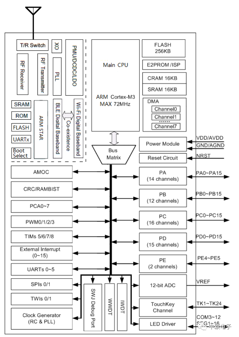 wKgaomSdRK6ARbjwAAPAcHlAqXM584.jpg