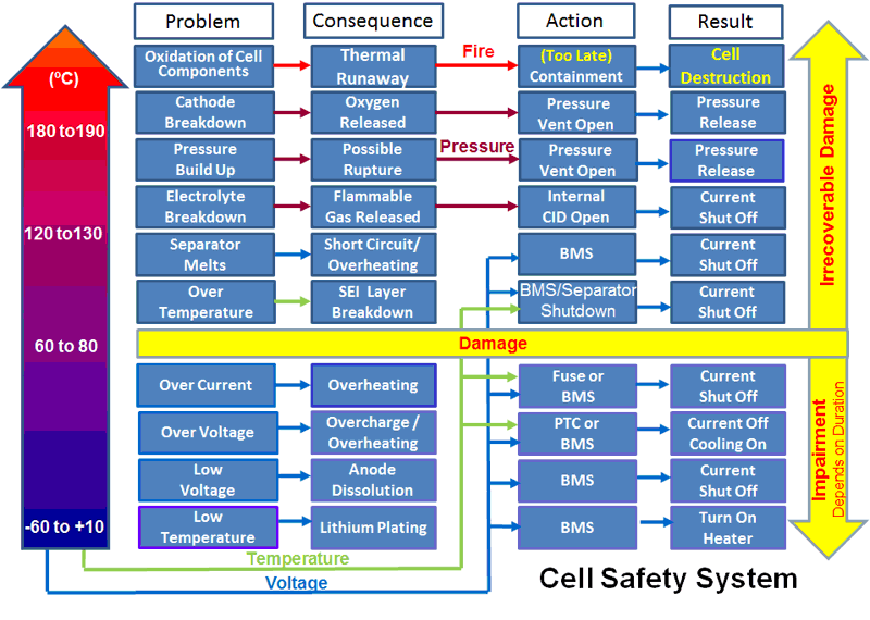 细胞保护机制