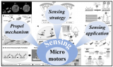 微马达不同推进<b class='flag-5'>机制</b>以及不同的传感<b class='flag-5'>策略</b>探讨