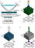 “进化”和3D打印新型纳米级光学器件检测和操纵光的特性