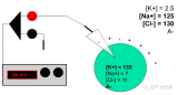 ECG/EEG/EMG 系统中的<b class='flag-5'>生物电势</b><b class='flag-5'>电极</b>传感器