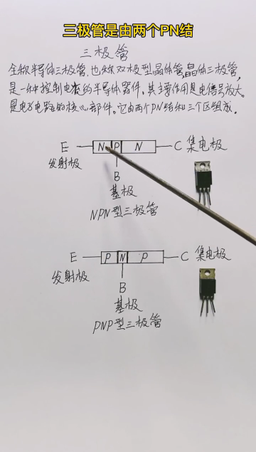 # 硬聲創(chuàng)作季 維修知識 第3集 三極管的功能作用及結構組成，你知道嗎？