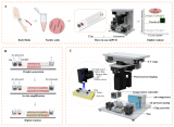 三合一微流控液滴数字PCR平台，用于DNA绝对定量分析