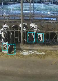 人工智能、機器視覺、智慧農業